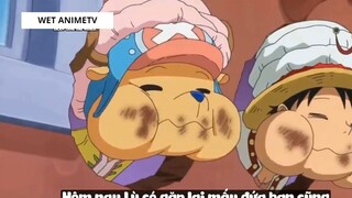 Top 6 Thánh Nhọ Trong One Piece #15 1