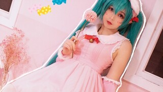 【Sốt Qingdou】 Tắc tai mèo ❤️ Một con mèo rối đi ngang qua (๑ •. • ๑) Hatsune Miku