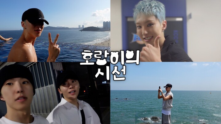 [HOSHI TAMTAM] Buổi hòa nhạc fan ở Busan của HOSHI x WOOZI 🎤 Kỳ nghỉ cùng hội bạn thân & Cẩm nang Ho