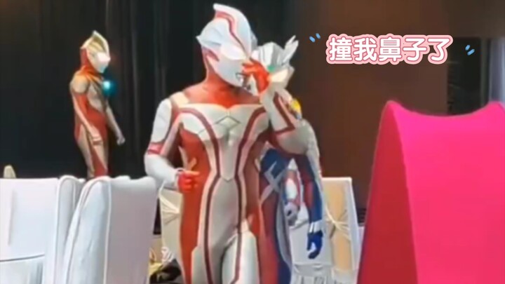就我小梦最呆是吧