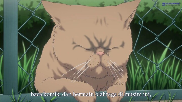 Kimi to Boku S1 Eps 08 (Subtitle Indonesia)