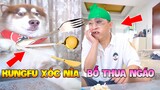 Thú Cưng Vlog | Chó Ngáo Husky Troll Bố #8 | Chó thông minh vui nhộn | Smart dog funny pets