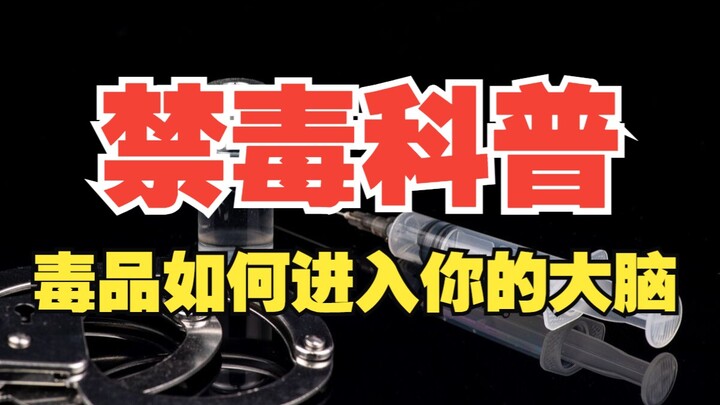 烟都戒不了你跟我说戒毒？禁毒科普01：毒品是如何突破血脑屏障进入你的大脑的？