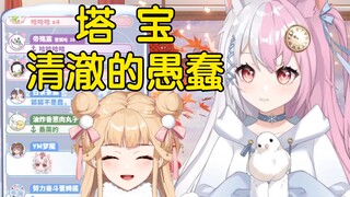 【雪狐】塔宝的眼神中，有一种清澈的愚蠢