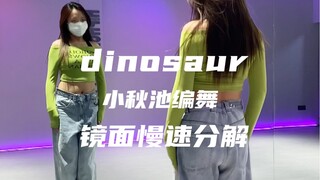 夏天氛围感的舞《dinosaur》 | 镜面慢速分解+原速