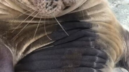 Forget it, go ahead and touch it.