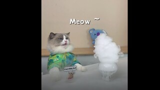 【ماو داشي Puff】 معلومات صغيرة غير مفيدة لكنها تساعد على التخلص من التوتر زادت مرة أخرى