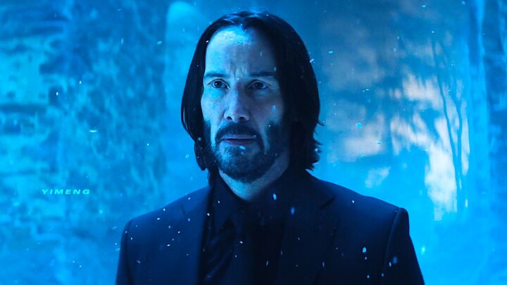 When a Female Assassin Meets John Wick