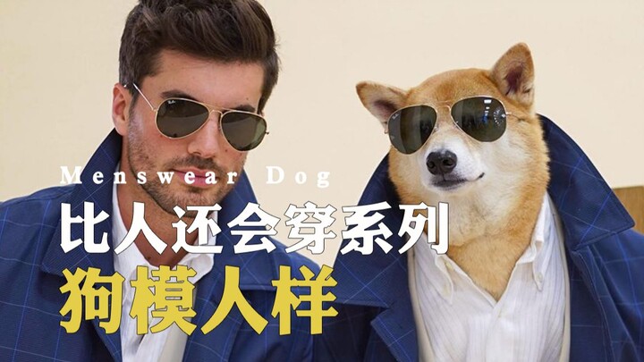 穿搭真的看脸吗？原来所有穿搭博主都在骗人！