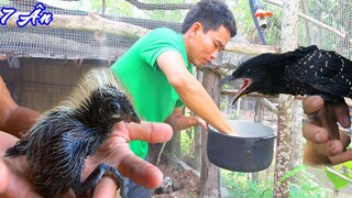 Thử Thách 24h Sống Trong Chuồng Chim - Ban Ngày - 7 Ân