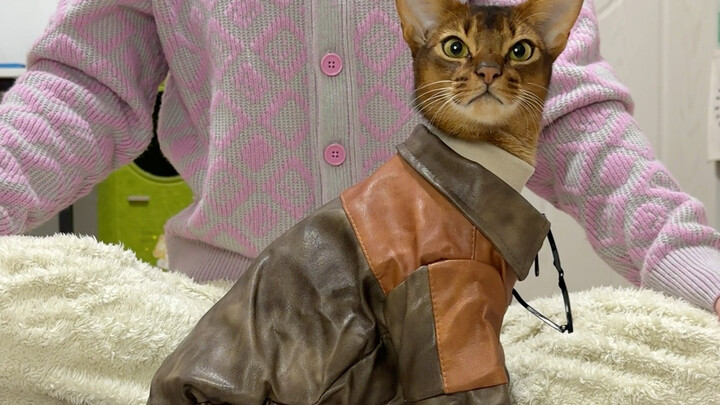 Áo da cá tính cực ngầu, mèo con xuống phố siêu chất🤩