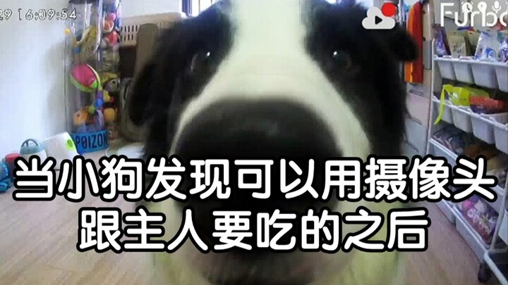 เซ็กซี่ไป๋จื่อ ขอทานออนไลน์!