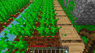 SAMMY THỬ THÁCH 24H TRỐN TÌM SIÊU TÍ HON CÙNG HỘI CHỊ EM TRONG LÀNG HERO TEAM MI