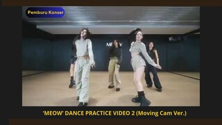 Meow Dance Practice