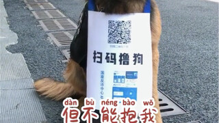 这是为了反诈事业付出了很多的警犬！