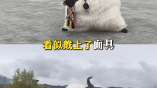 لاسا نيو نيو تظهر لأول مرة