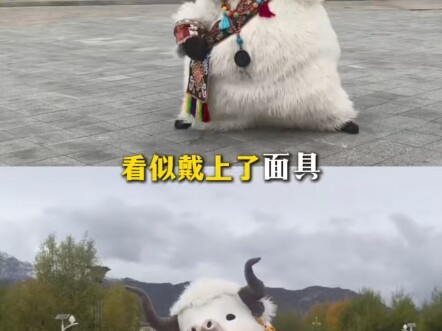 لاسا نيو نيو تظهر لأول مرة