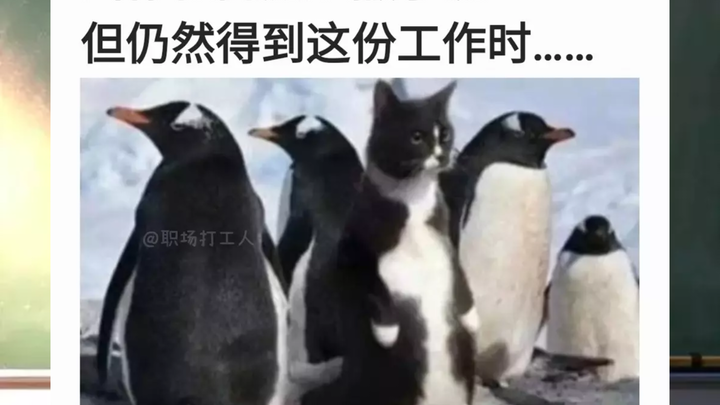 Those hilarious meme images all over the internet