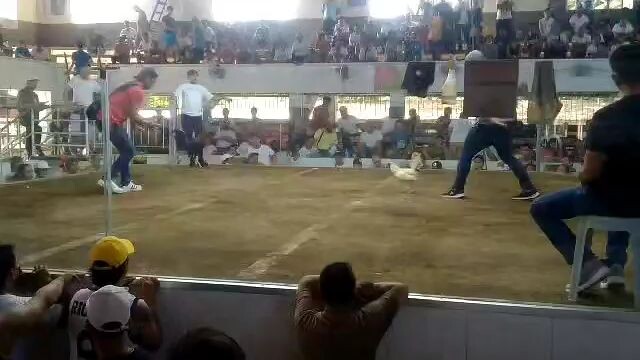 lose pang champion na Sana