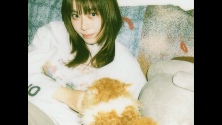 Sharing Life with a Cat: Our Spring Lifestyle Report — For the kitten, spring means going to see Hua