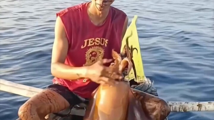 Chia sẻ vài loại mực khác nhau – bạn đã thấy được bao nhiêu loại rồi?