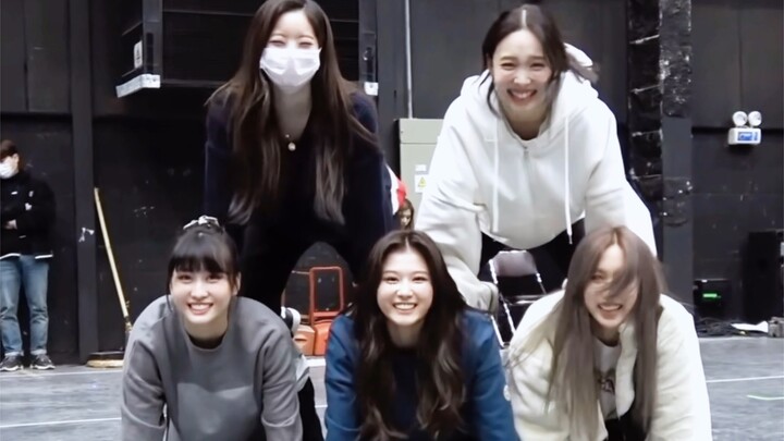 【TWICE】Imut banget, nggak ada kepala