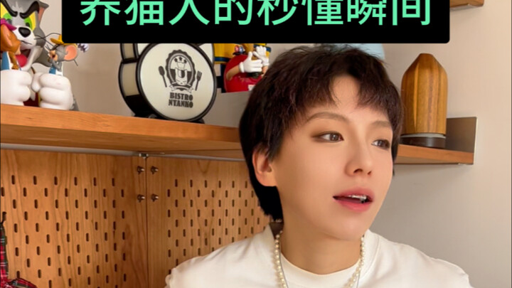 Cat Owners’ Instant “I Get It” Moments