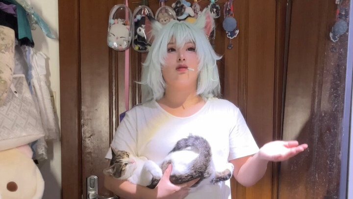 Nico the cat, who’s finally serious about making money.