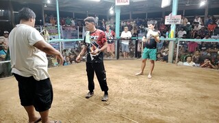 CFC GALLERA 3WINS 2nd fyt W