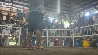 2wins taparay 2nd fight