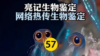 Online Sensation: Biological Identification, Episode 57