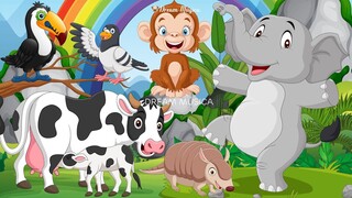 Funny Animal Sounds in 30 Minutes: Cow, Elephant, Armadillo, Monkey - Animal videos