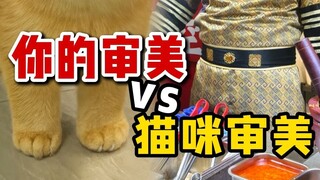 รสนิยมด้านสุนทรียศาสตร์ของคุณกับแมวมีช่องว่างมากขนาดไหน?