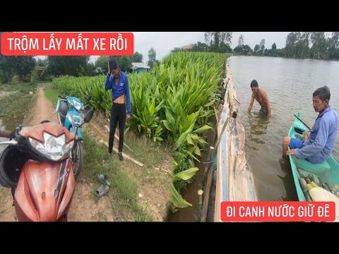 Trộm Lấy Mất Xe của chú đi làm từ thiện đắp đê canh nước mội