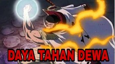 10 KARAKTER DENGAN DAYA TAHAN TUBUH PALING DAHSYAT DI ONE PIECE - ANIME REVIEW