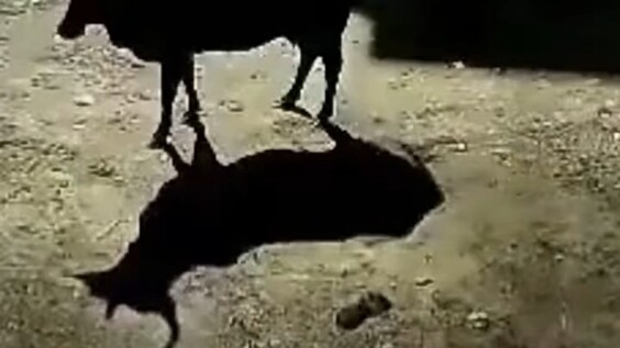 Dunia ini luas, tak ada yang tak mungkin