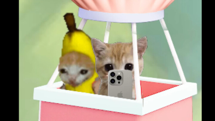 Perjalanan Romantis Banana Cat dan Boneka Dia