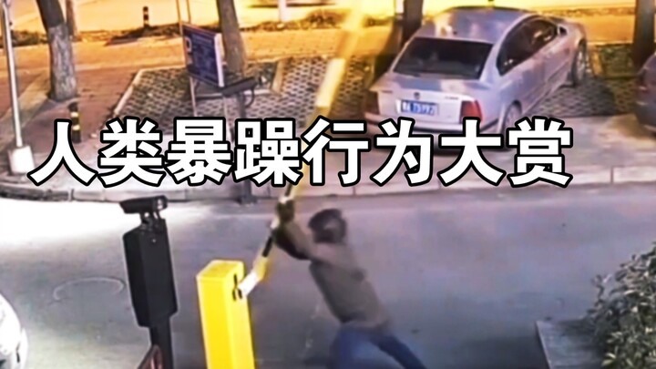 “Giải thưởng hành vi nóng nảy của con người”