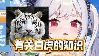 白虎为什么不能野外生存
