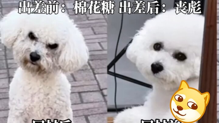 มาร์ชเมลโลว์กลายเป็นซ่างเปียวไปแล้ว!