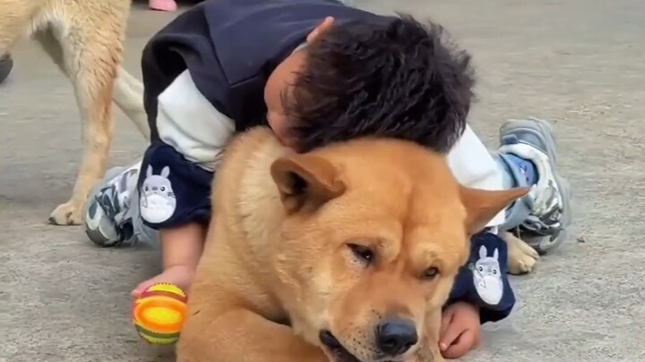 Even on holiday, Uncle Dog has to take care of the kids～