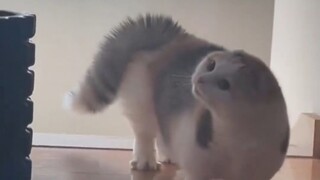 感觉它要变异了