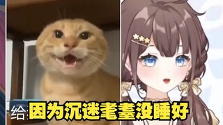 刷抖音刷沉迷圆头耄耋没睡好的紫苏。
