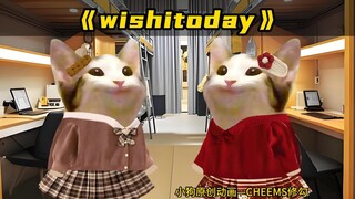 wishitoday！