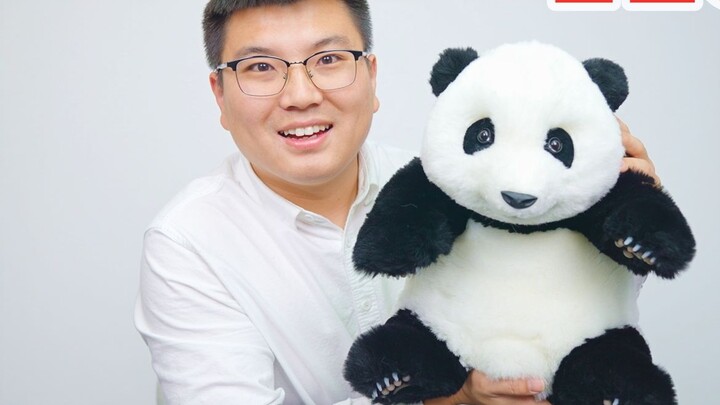 Saya membeli seekor panda seharga 1299 yuan dan memberikannya kepada anjing saya untuk dimainkan, ap