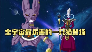 龙珠超：当年这只猫让龙珠走向另一个维度