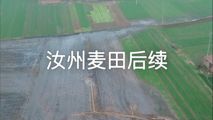 Follow-up on the Black Water Incident in Yanglou Wheat Fields, Ruzhou