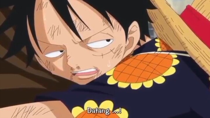 one piece Luffy cape