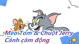 Mèo Tom & Chuột Jerry|Một chú cún nhỏ nhớp nháp đến nhà và Tom đã rất tốt bụng