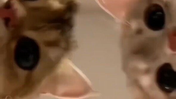 “Please tag the cutest girl in the world to come take a look!”